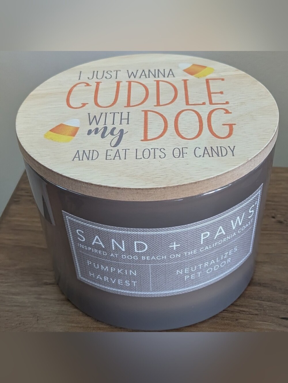 Sand + Paws Pumpkin Harvest 12 oz scented candle